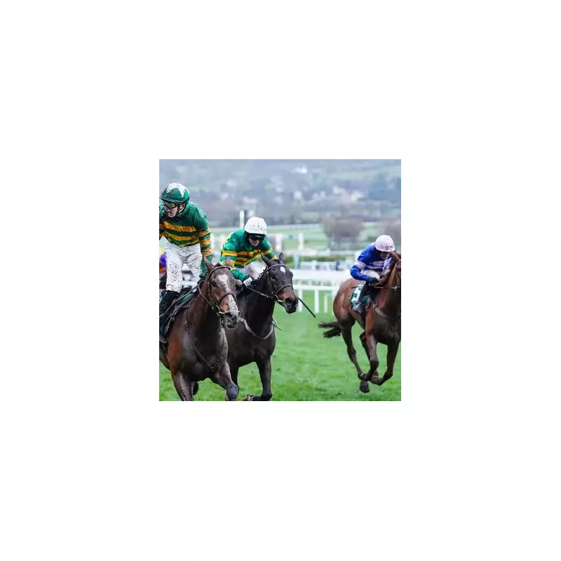 JP McManus's Gold Cup Dream: Galopin Des Champs Aims for Historic Third Win at Cheltenham Festival 2025