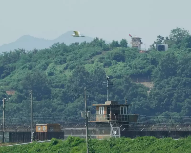 Korean Peninsula Tensions Soar: North Accuses South of 'Deliberate Provocation' After Border Warning Shots