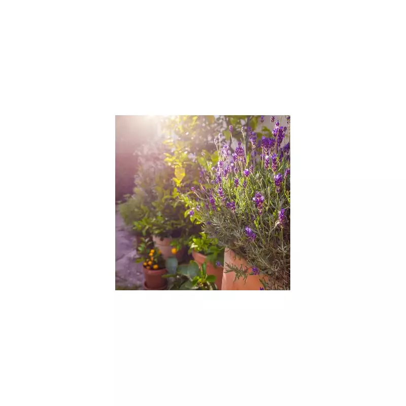 Lavender Pruning Secrets: Expert Reveals When to Cut for a Thriving Garden Display