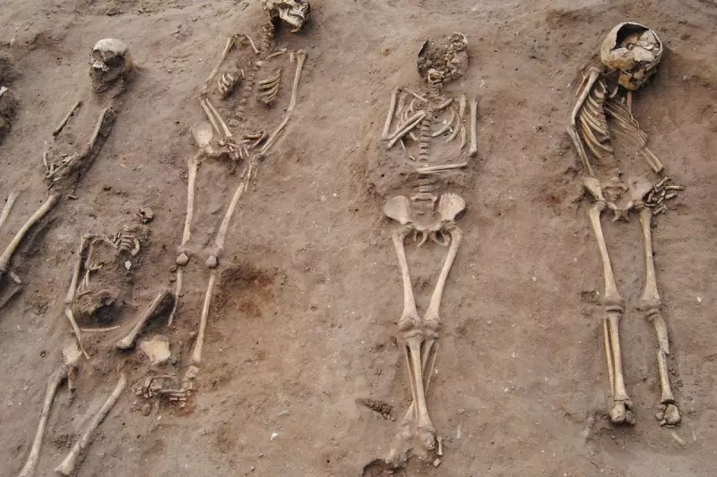 Medieval Mass Grave Unearthed in Lincolnshire: New Clues About the Black Death