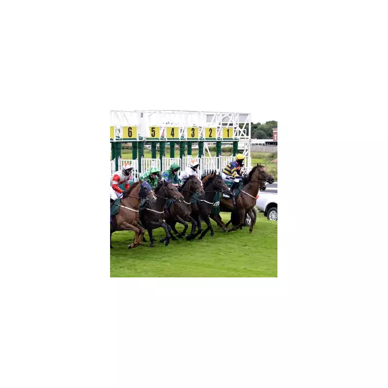 Monday's Horse Racing Tips: Best Bets for Today's Races