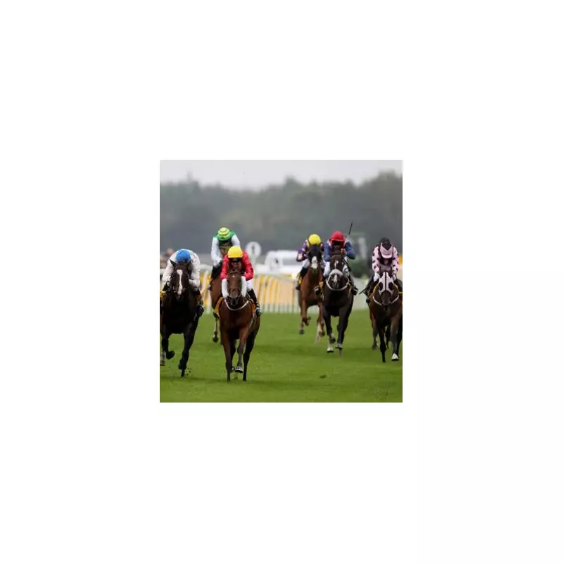 Monday's Racing Tips: Newsboy's Top Five Bets for a Winning Start to the Week