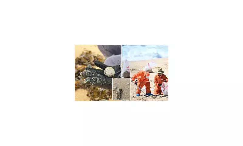 Mystery on the Central Coast: Bizarre 'Debris Balls' Wash Ashore Sparking Environmental Investigation
