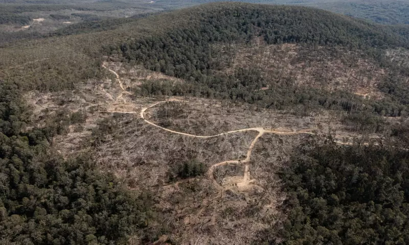 Outcry to Abolish Forestry Corp After Alleged Failure to Protect Endangered Species