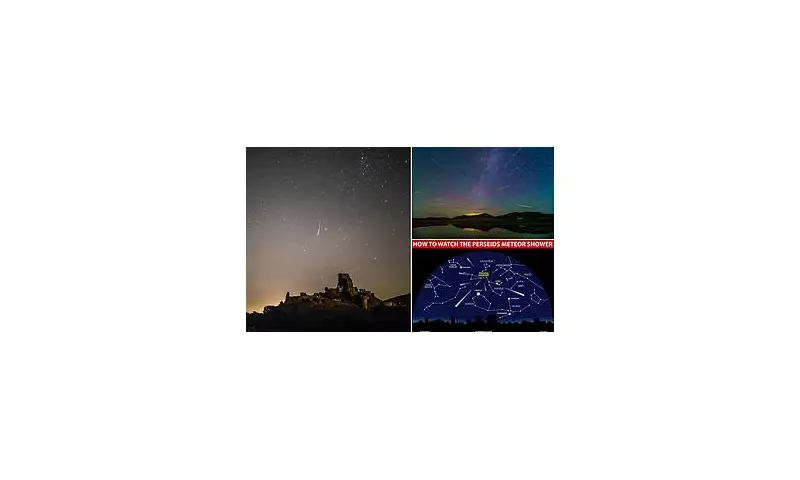 Perseid Meteor Shower 2023: Don't Miss the Spectacular Peak Tomorrow Night!