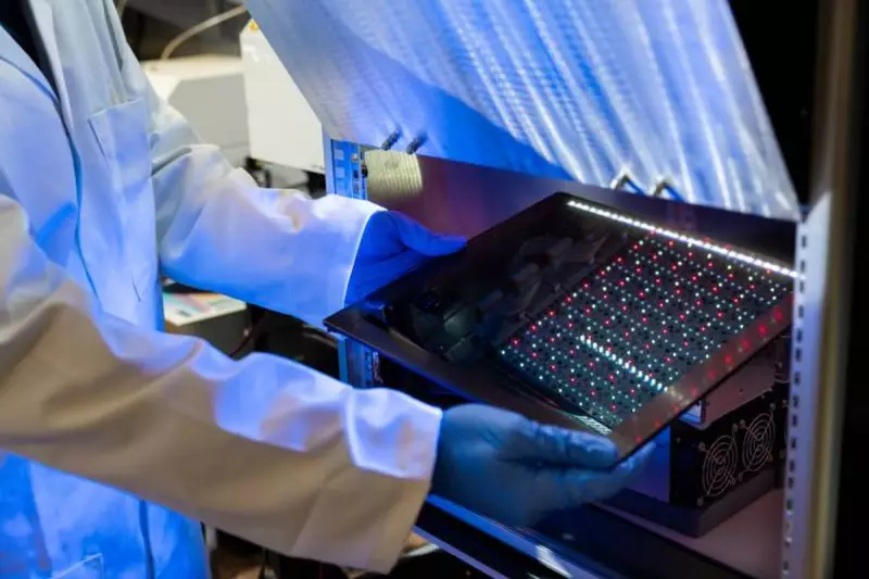 Revolutionary Indoor Solar Cells: The Future of Renewable Energy in Low-Light Conditions