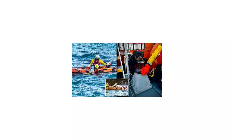 RNLI Heroes Stage Dramatic Tidal Rescue: Family & Dog Saved From Rising Waters | UK Coastguard Emergency