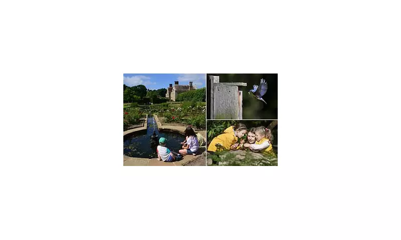 School's Natural Oasis: Magazine's Bold Call for Wildlife Ponds in Every Playground