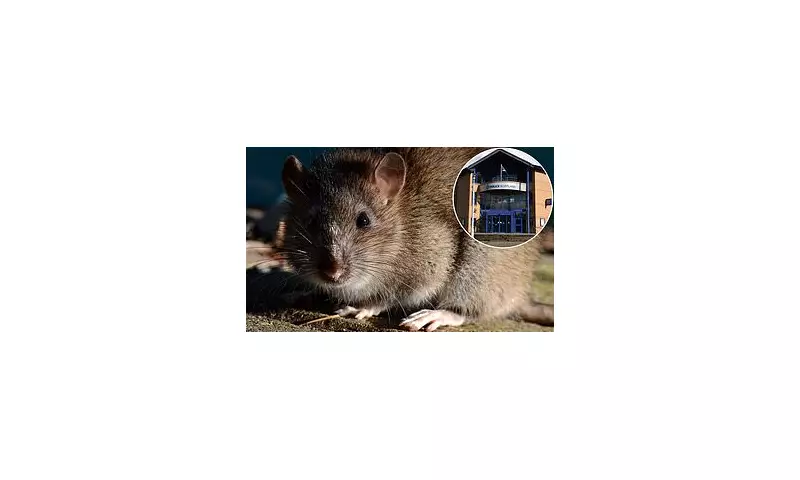 Scots Police Plagued by Rats: Cash-Strapped Force Forced to Spend £500k on Pest Control