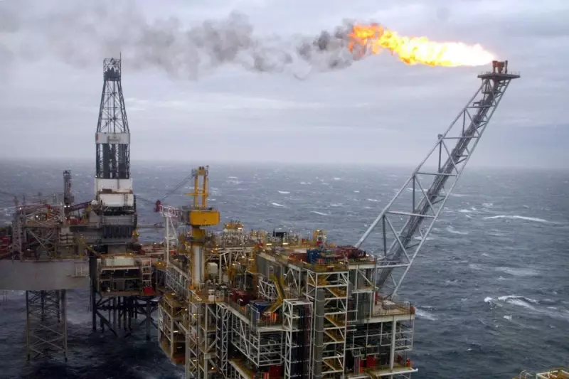Shell Faces Backlash as Brazil Oil Spill Cleanup Costs Soar