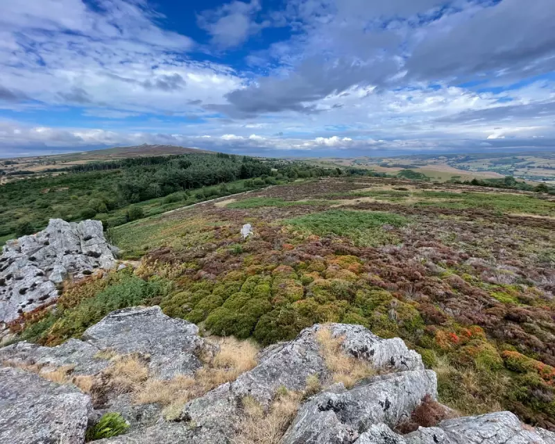 Somerset's Scent of Success: How a Fragrant Floodplain is Breathing Life Back into the Countryside