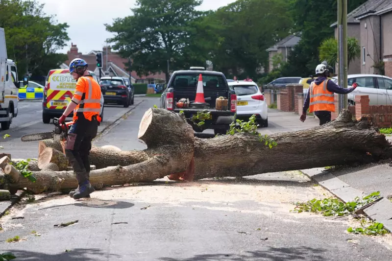 Storm Floris Wreaks Havoc: Scotland Faces Travel Chaos and Flight Disruptions