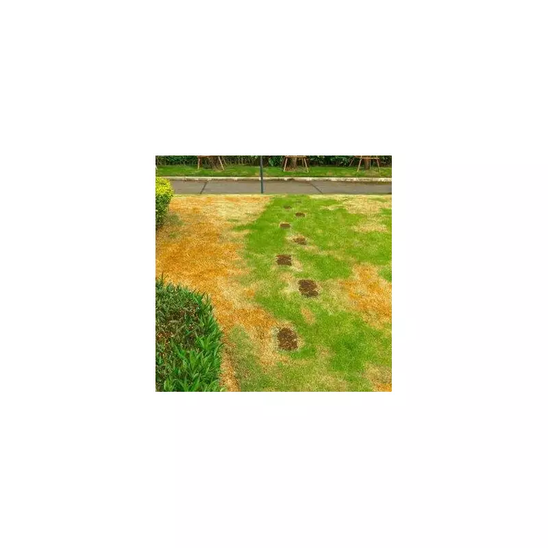Sunburnt Lawn SOS: Expert Reveals How To Revive Your Scorched Grass Fast