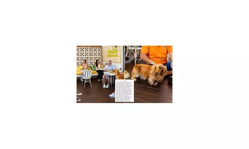 Sydney's La Bottega Café Faces Backlash Over Controversial 'No Dogs' Policy | Outrage Erupts