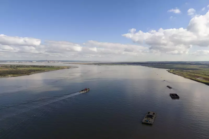Thames Water Crisis: Government Urged to Act as Environmental Concerns Mount