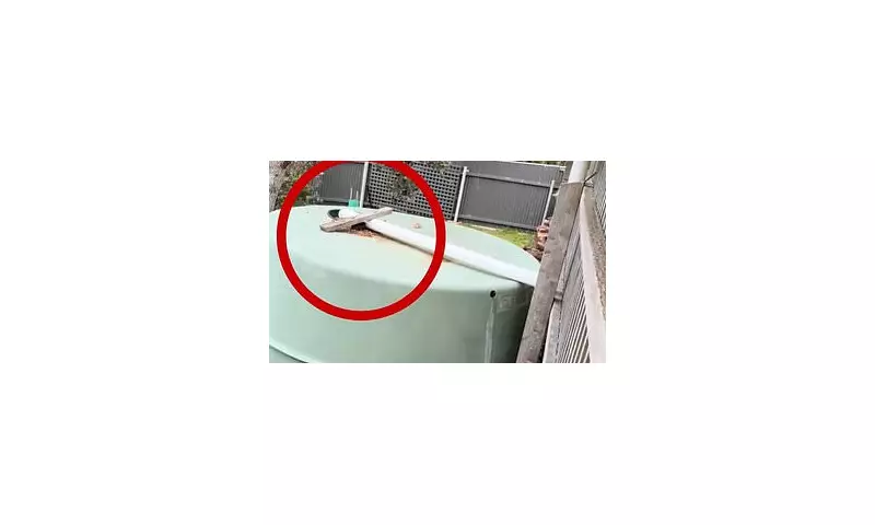 The Great Aussie Downpipe Debate: How a Simple Water Tank Sparked a National Backyard Battle