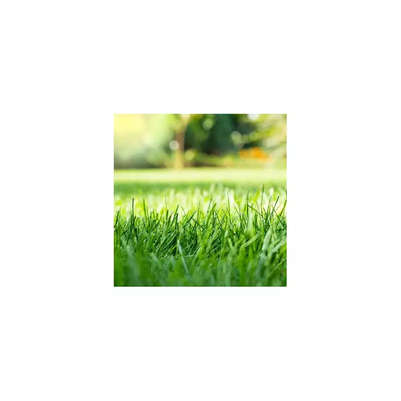 The Lush Lawn Secret: 8 Pro Gardening Tips for a Greener, Thicker Grass Without Expensive Feeds