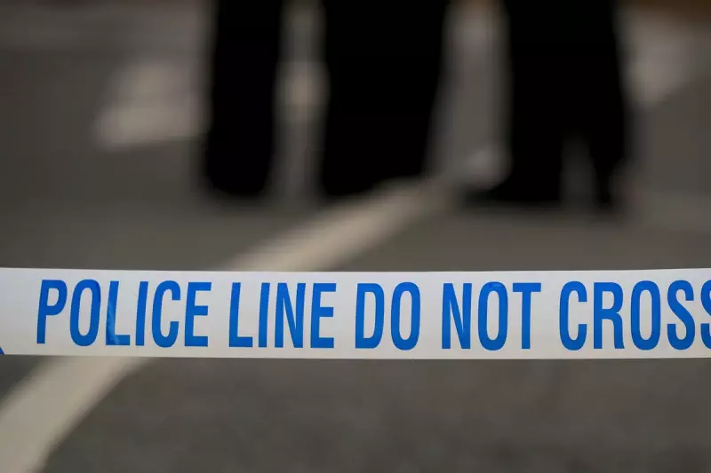 Tragedy in Florida: Family Dog Kills Newborn Baby in Heartbreaking Incident