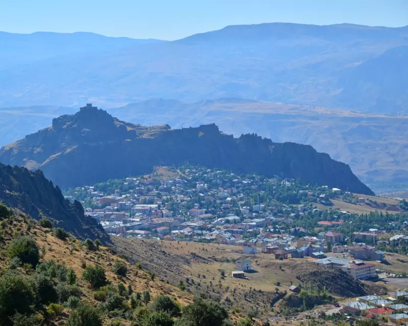 Tragic End to Wedding Joy: Groom Killed by Stray Celebratory Gunfire in Turkey