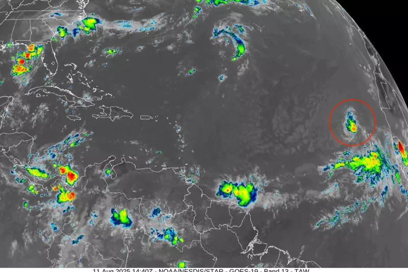 Tropical Storm Erin Threatens US Coast: Latest Forecast and Potential Impact