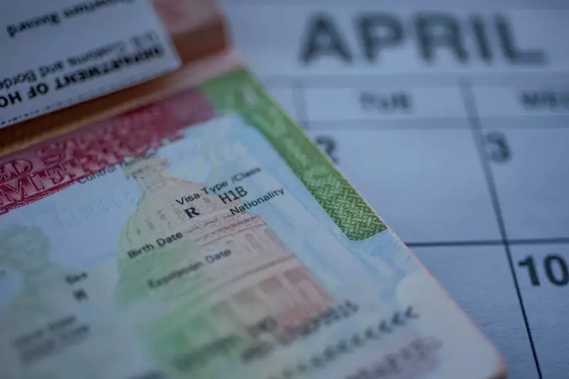 Trump Eyes Major Overhaul of H-1B Visa Programme: What It Means for Skilled Workers