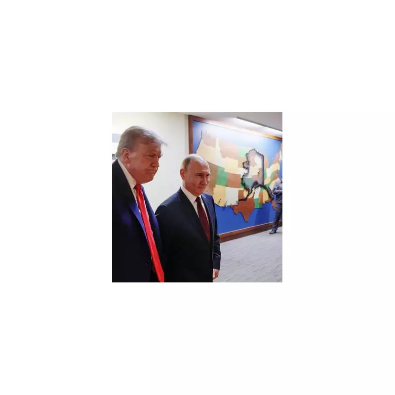 Trump Proposes High-Stakes Meeting Between Zelensky and Putin – Could This End the War?