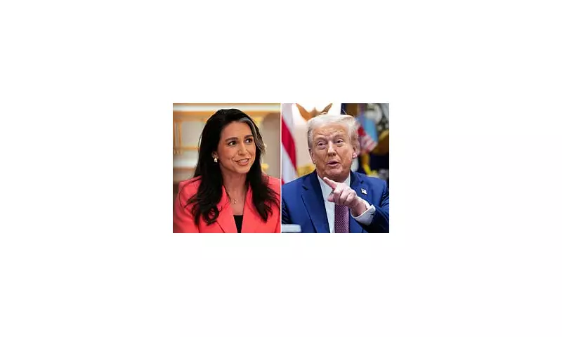Tulsi Gabbard Exposes 'Reckless' Handling of Classified Docs: Safes in 'Random Offices' & Election 'Hoax' Claims