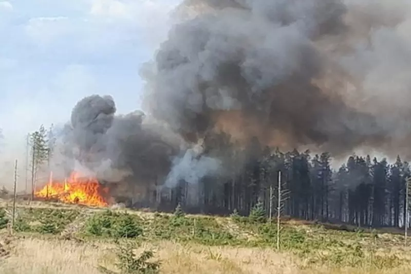 UK Bank Holiday Heatwave Sparks Critical Wildfire Alert Across Europe | Independent