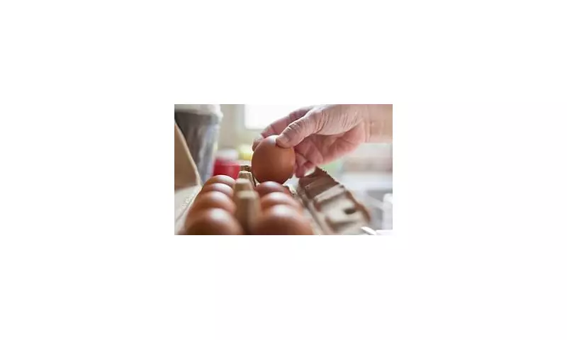 UK Egg Recall Crisis: Salmonella Outbreak Hospitalises Dozens Amid Major Health Alert