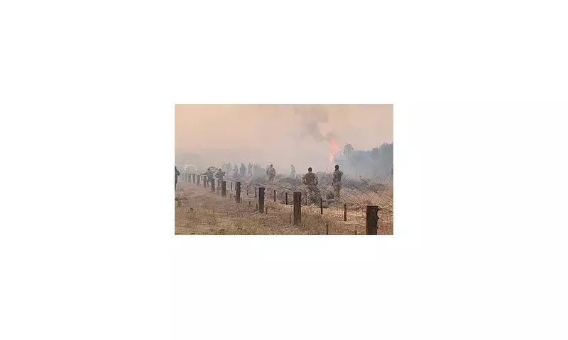 UK to Pay £2.9 Million Compensation for Kenya Wildfire Sparked by British Troops