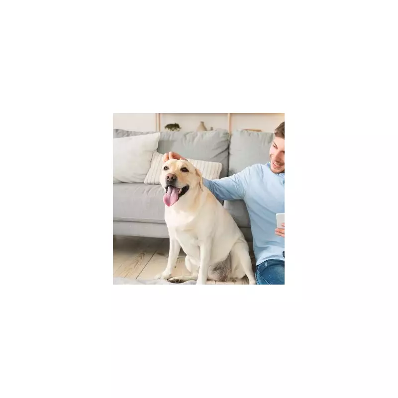 Vet Issues Urgent Warning to Dog Owners Over Common Household Hazard