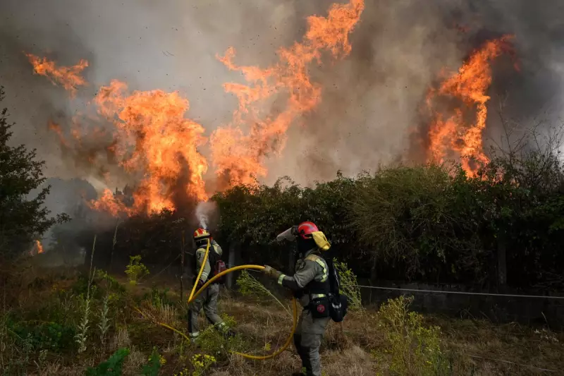 Wildfires Ravage Spain and Greece: Horses Rescued Near Madrid as Blazes Spread