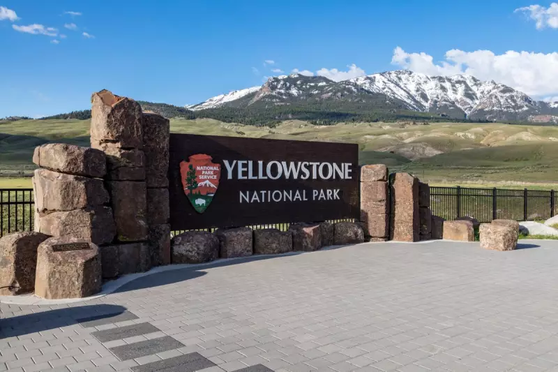 Wyoming Judge Blocks Yellowstone Winter Road Plan in Landmark Wildlife Ruling