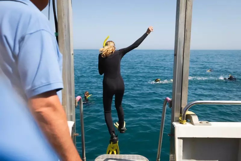 Young Carers Find Respite on Lundy Island: A Snorkelling Adventure to Remember
