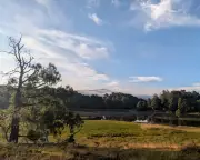 A Day by the Loch: Nature's Tranquil Escape in the Scottish Highlands