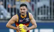 AFL Fans Outraged as Homophobic Slur Ban Overturned in Controversial Tribunal Decision | Daily Mail