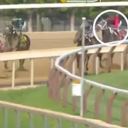 AI Aye Eye Storms to Victory at Saratoga: Full Race Results and Highlights