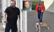 AK-47 Road Rage Killer: How Albanian Murderer Twice Entered UK to Raise Family in Welsh Mining Town