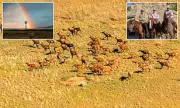 America's Largest Ranch in New Mexico Hits the Market for a Whopping £400 Million