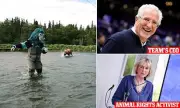 Animal Rights Outrage: Seattle Kraken's Mascot Chases Bear in Controversial Stunt