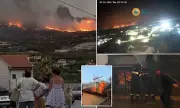 Apocalyptic Cyprus Wildfires: Two Dead as Blaze Incinerates Luxury Villas | Cigarette Blamed