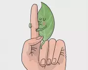 Are Natural Beauty Products Really Gentler on Your Skin? The Truth Revealed