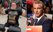 Arnold Schwarzenegger Playfully Trolls Gavin Newsom in Epic Social Media Clash