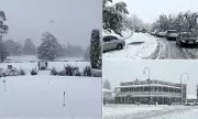 Australia Blanketed by Heaviest Snowfall in Decades: Wild Weather Dumps 20 Inches in Some Regions