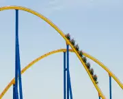 Beyond the Pamphlets: The Unspoken Truths of a Double Cancer Diagnosis