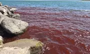 Biblical Waters Turn Blood Red: Sea of Galilee's Apocalyptic Transformation Sparks Fears of Divine Plagues