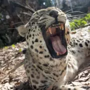 Biblical Zoo Worker in Jerusalem Tragically Killed by Lion in Shocking Attack