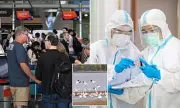 Bird Flu Alert: Deadly H5N1 Strain Confirmed in Australian Poultry | UK on High Alert