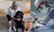 Blind Woman Regains Sight After Groundbreaking Tooth Implant Surgery