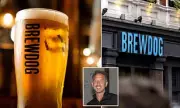 BrewDog Beers Axed from Nearly 2,000 UK Pubs Amid Pricing Dispute